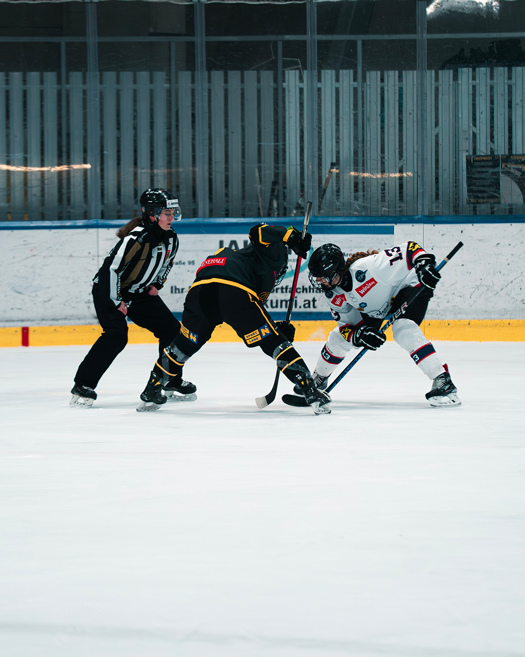 St Pölten Sabres 12