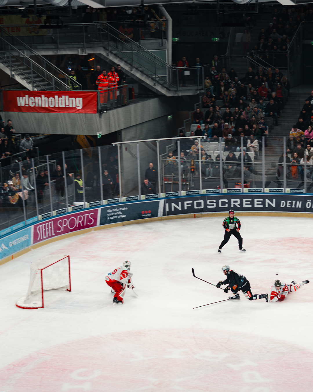 Vienna Capitals 03