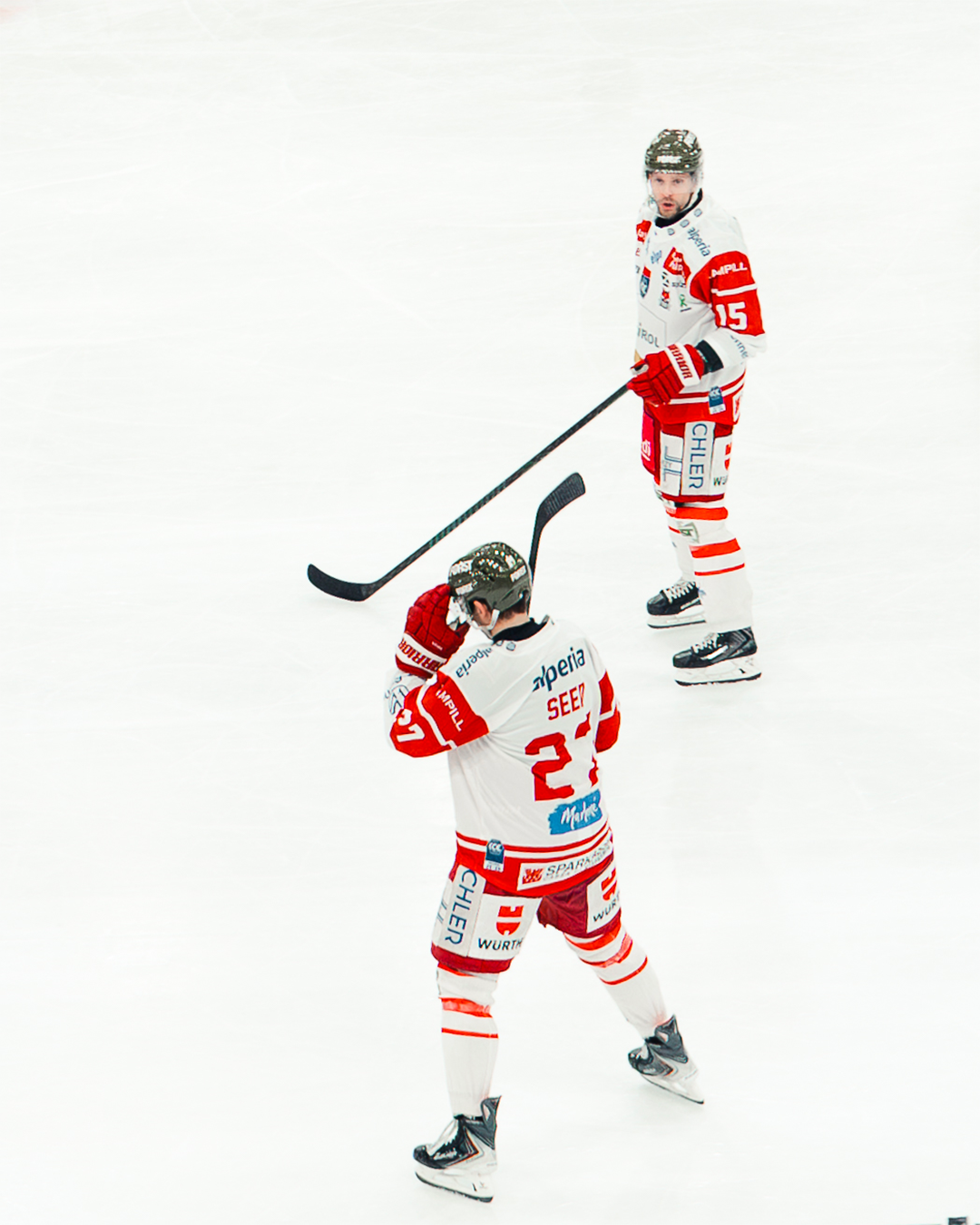 Vienna Capitals 04