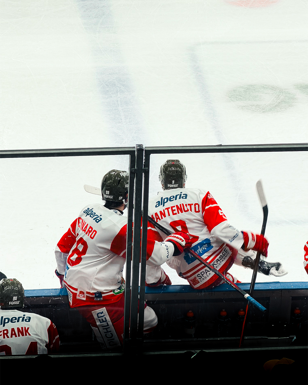Vienna Capitals 06