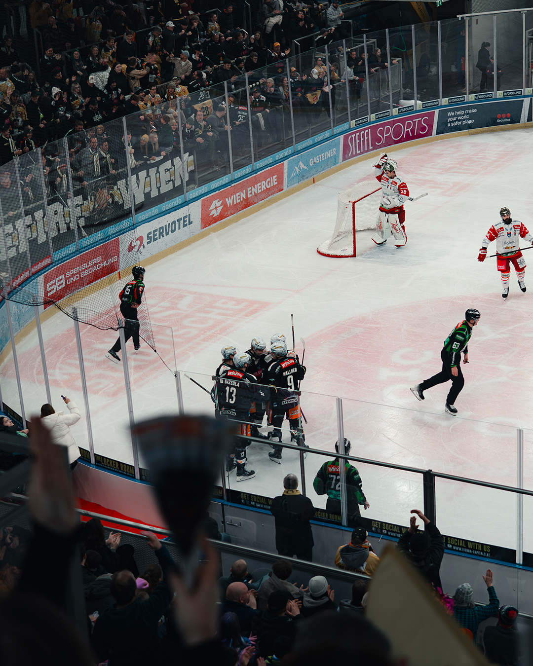 Vienna Capitals 07