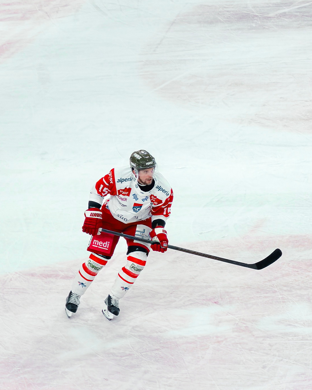 Vienna Capitals 08