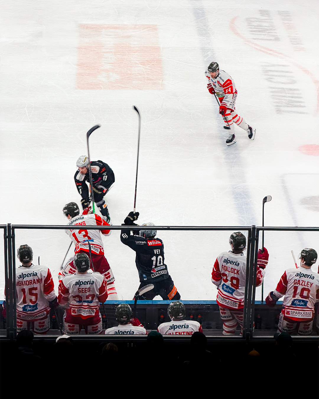 Vienna Capitals 09