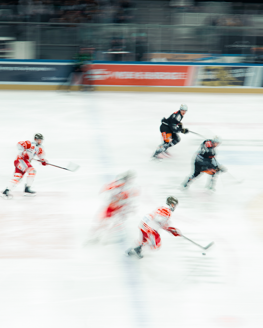 Vienna Capitals 12