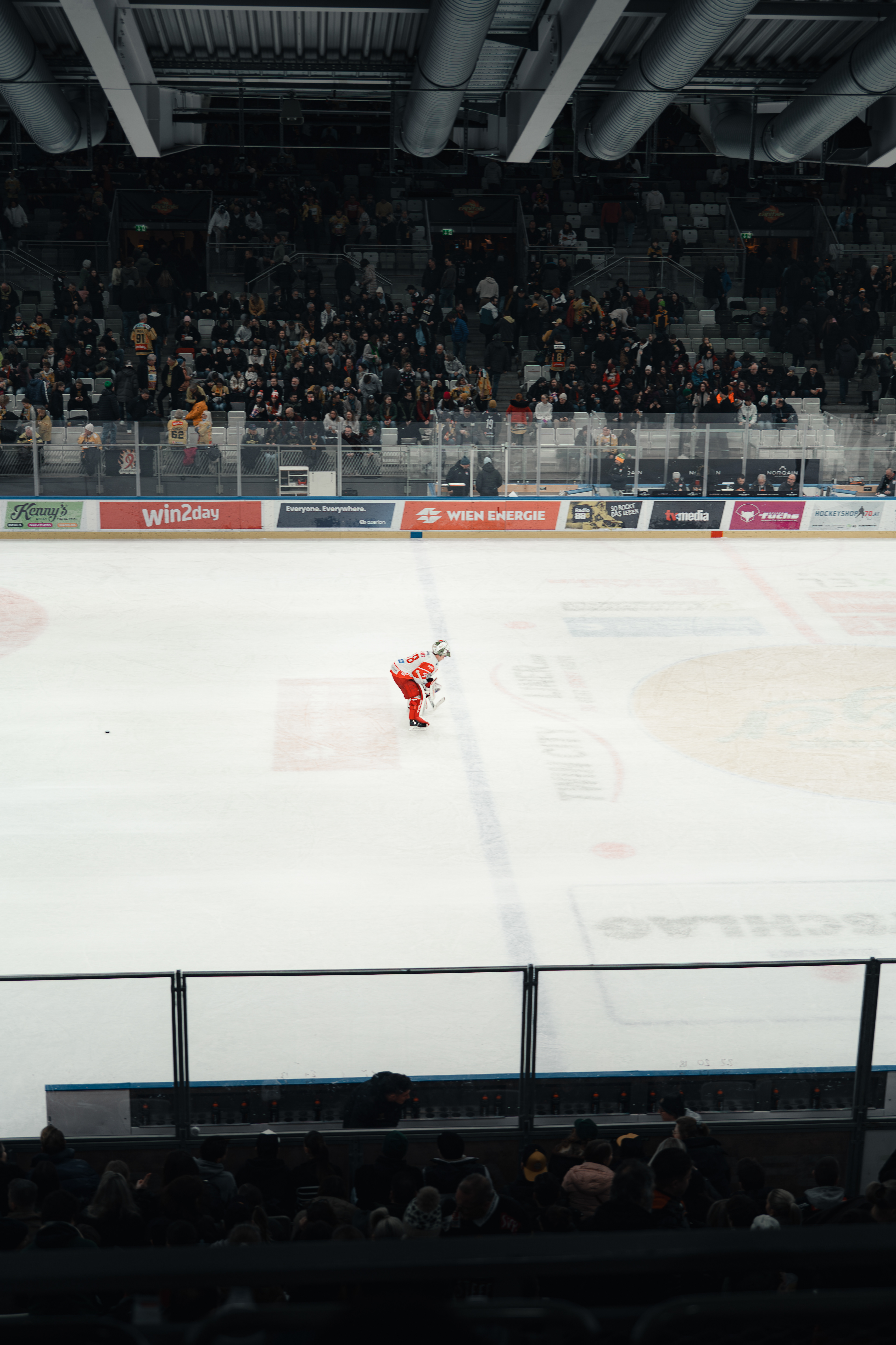 Vienna Capitals 12